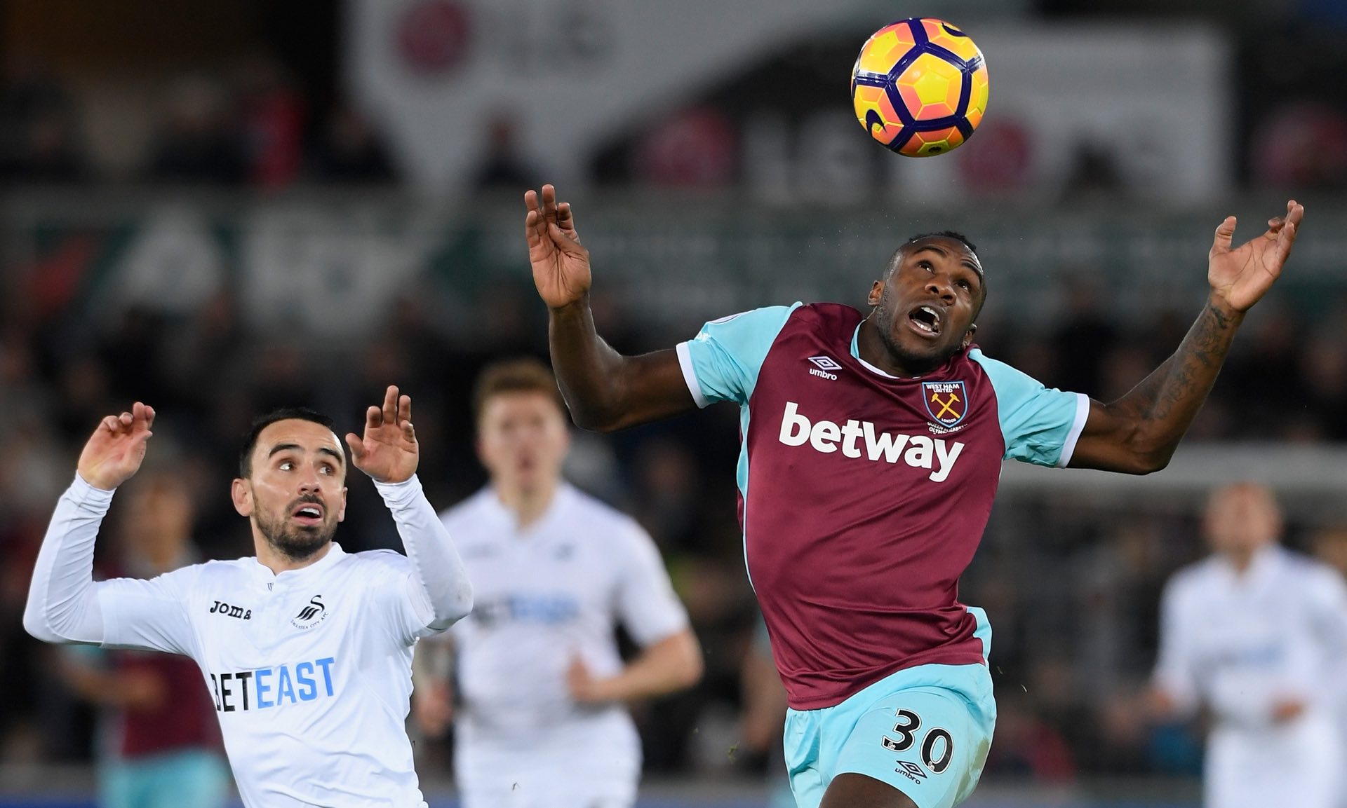 也极大丰富 也极大丰富