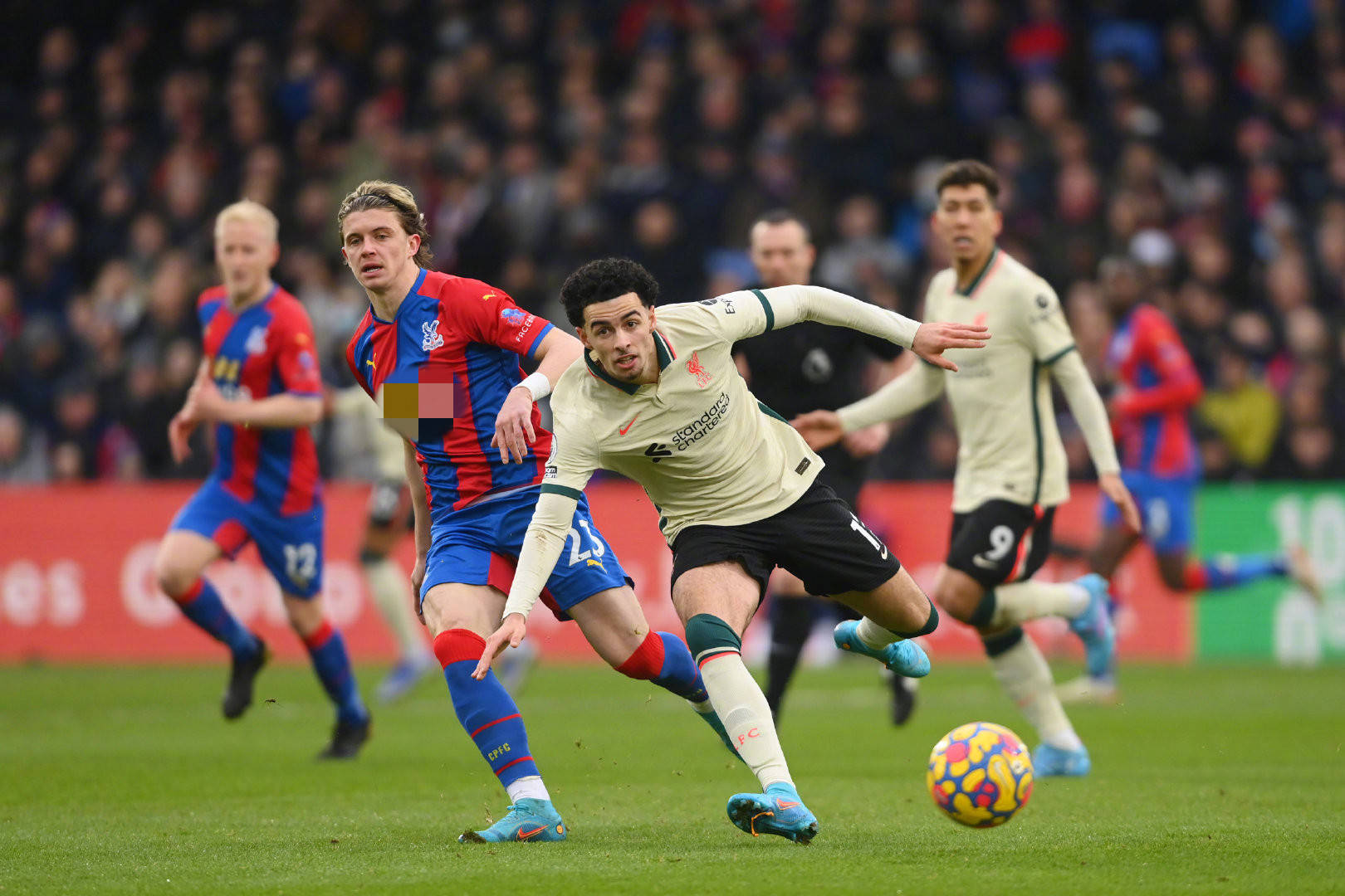 他公开表达 他公开表达